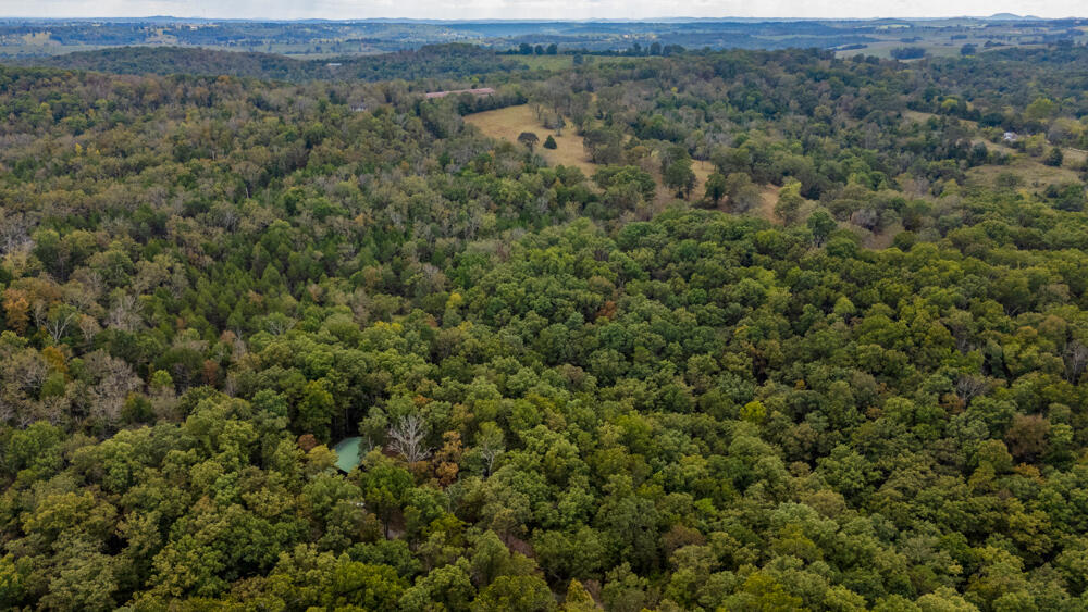 Photo 81 - Land for sale – 000  County Road 309   Gainesville, MO
