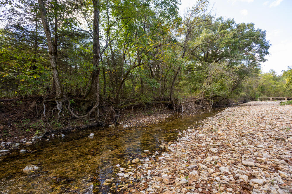 Photo 56 - Land for sale – 000  County Road 309   Gainesville, MO