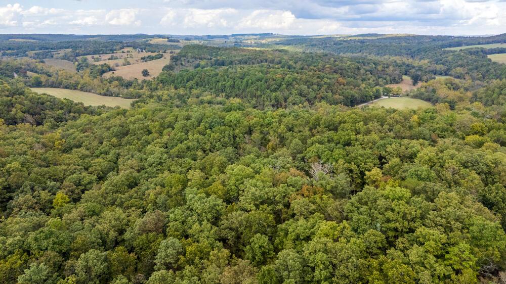 Photo 89 - Land for sale – 000  County Road 309   Gainesville, MO
