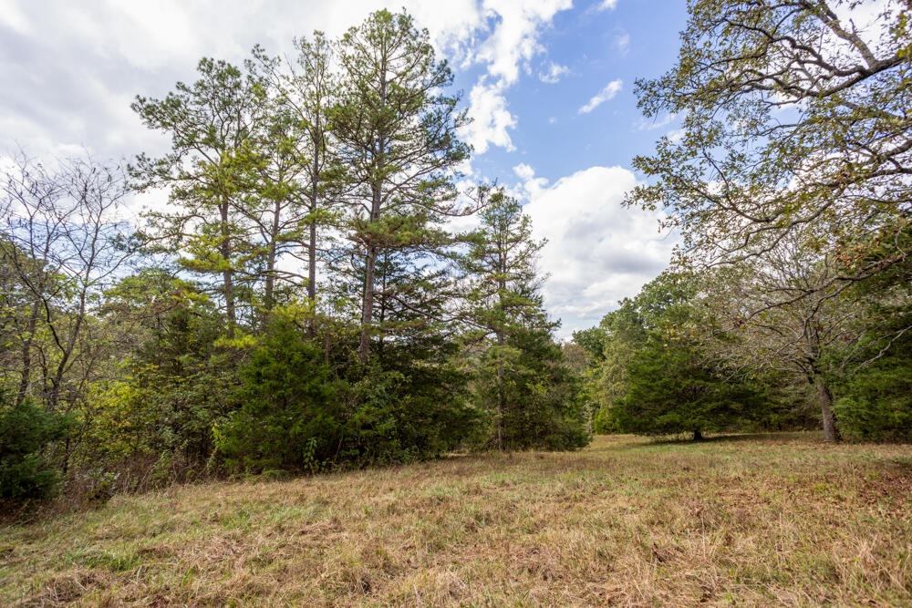 Photo 33 - Land for sale – 000  County Road 309   Gainesville, MO