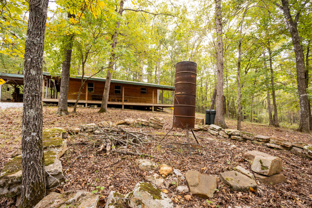 Photo 6 - Land for sale – 000  County Road 309   Gainesville, MO