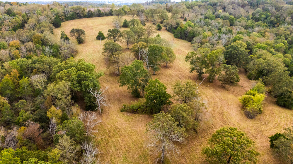 Photo 86 - Land for sale – 000  County Road 309   Gainesville, MO