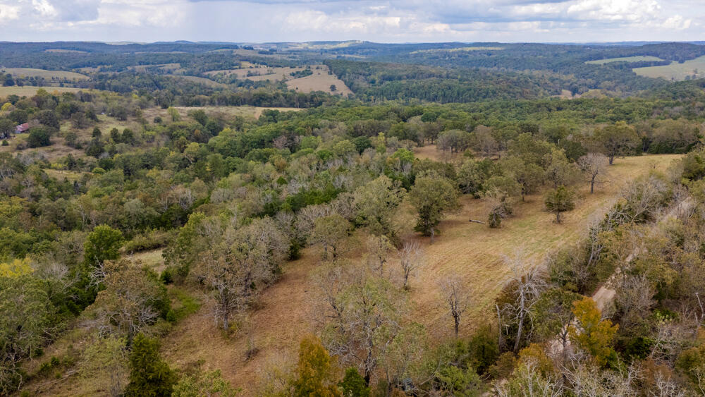 Photo 62 - Land for sale – 000  County Road 309   Gainesville, MO