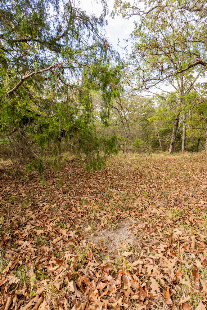 Photo 38 - Land for sale – 000  County Road 309   Gainesville, MO