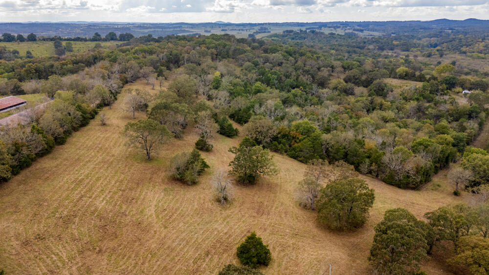 Photo 69 - Land for sale – 000  County Road 309   Gainesville, MO