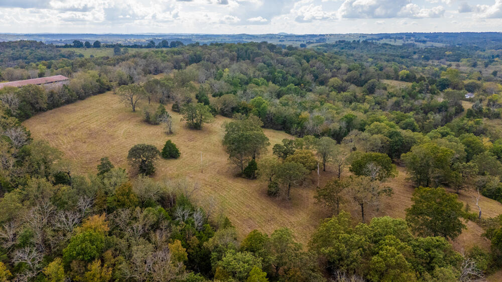 Photo 90 - Land for sale – 000  County Road 309   Gainesville, MO