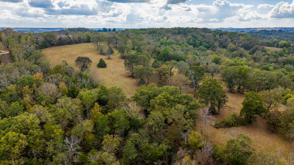 Photo 85 - Land for sale – 000  County Road 309   Gainesville, MO
