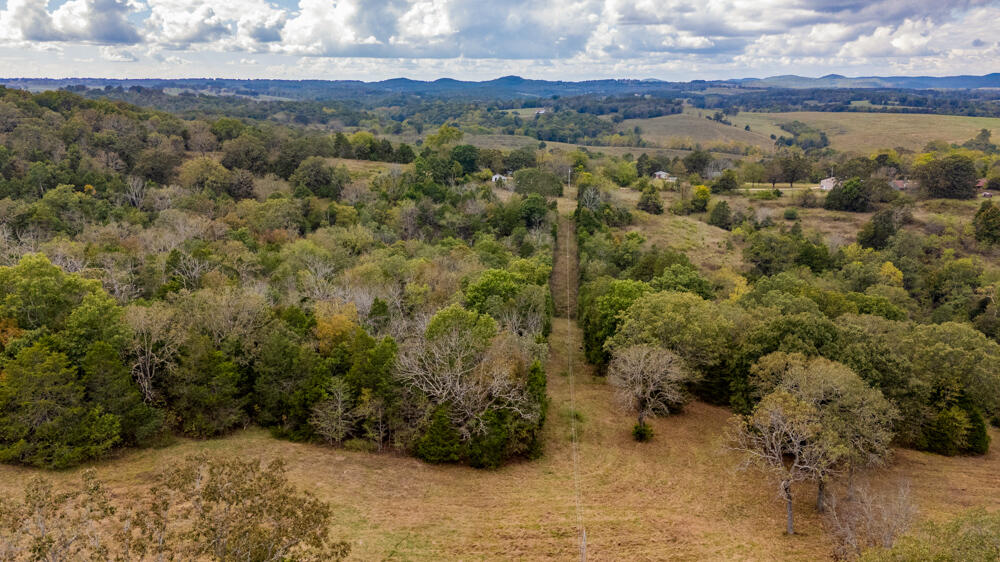 Photo 70 - Land for sale – 000  County Road 309   Gainesville, MO