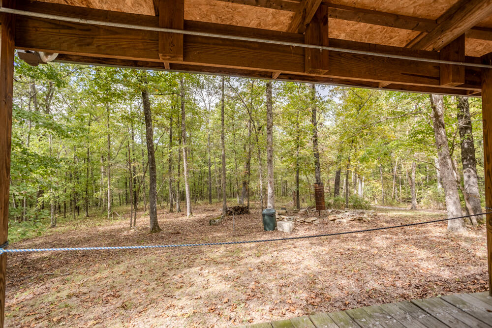 Photo 3 - Land for sale – 000  County Road 309   Gainesville, MO