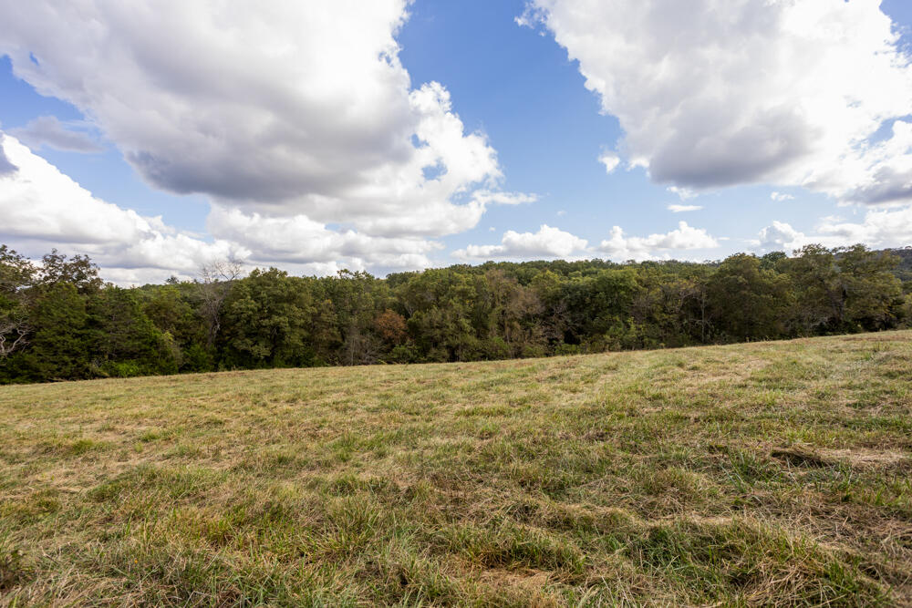 Photo 48 - Land for sale – 000  County Road 309   Gainesville, MO