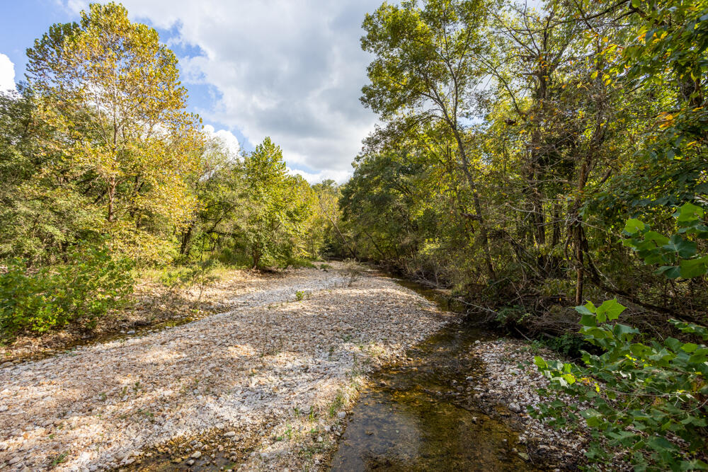 Photo 53 - Land for sale – 000  County Road 309   Gainesville, MO