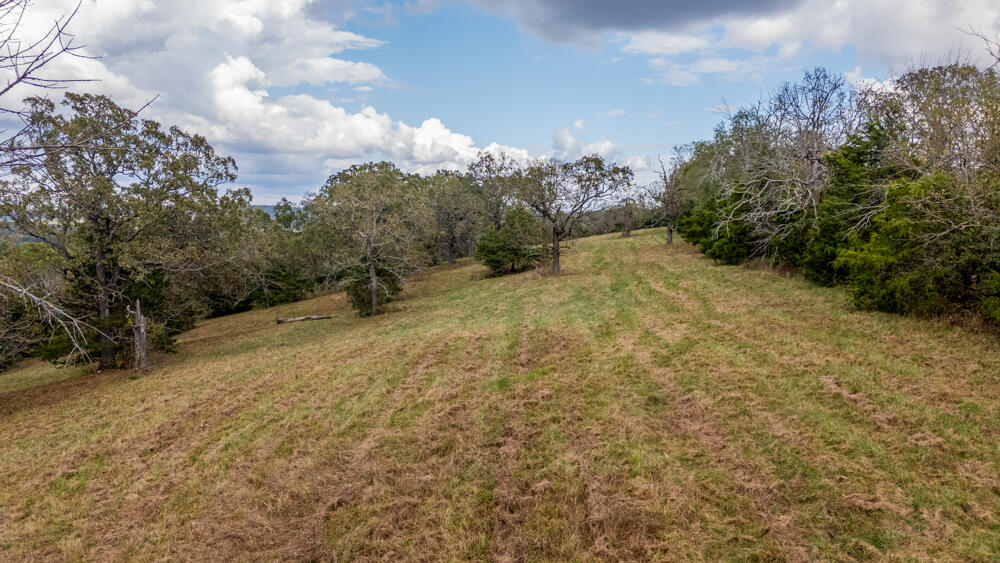 Photo 94 - Land for sale – 000  County Road 309   Gainesville, MO