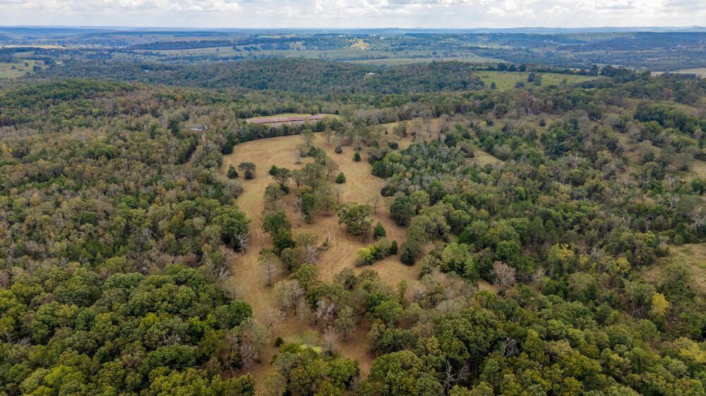 Photo 75 - Land for sale – 000  County Road 309   Gainesville, MO