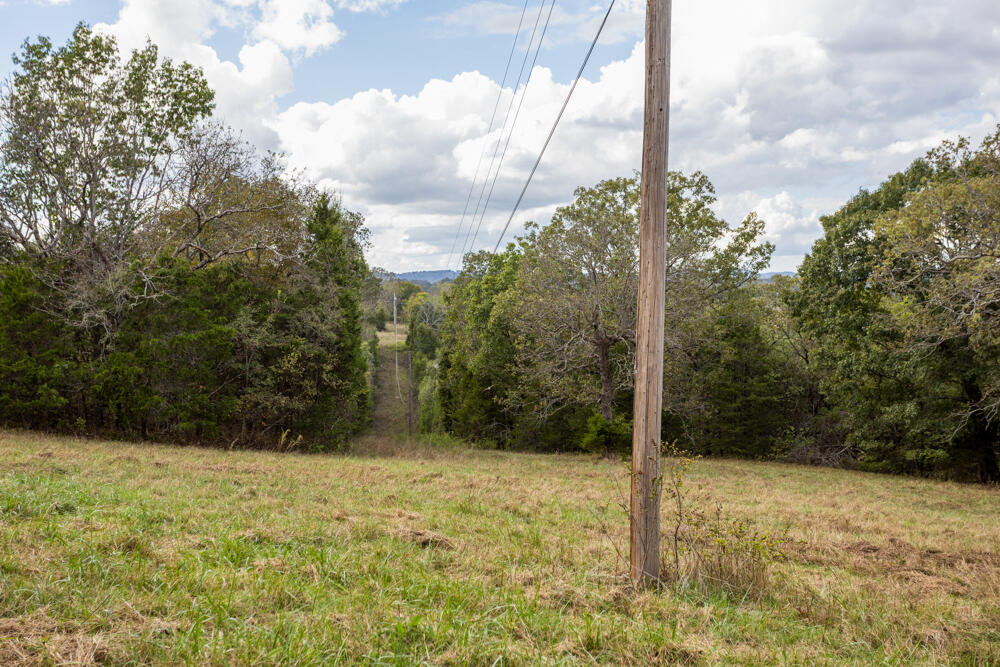 Photo 31 - Land for sale – 000  County Road 309   Gainesville, MO