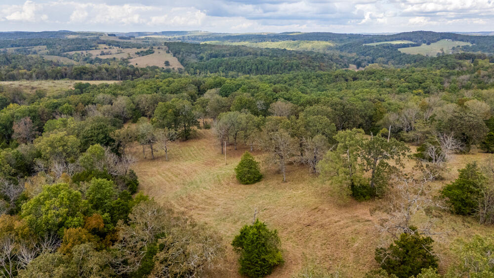 Photo 93 - Land for sale – 000  County Road 309   Gainesville, MO