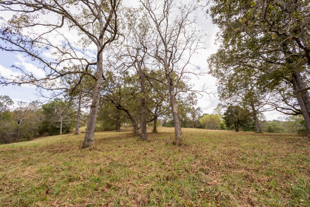 Photo 24 - Land for sale – 000  County Road 309   Gainesville, MO