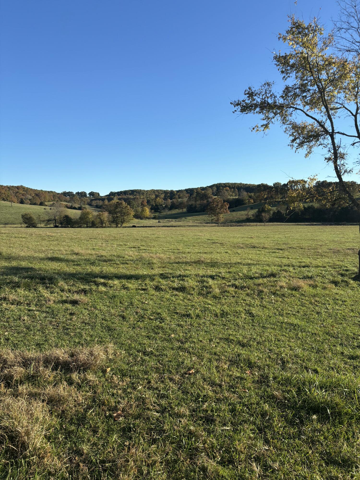 Photo 37 - Farm for sale – Hc 73  County Road 245   Drury, MO