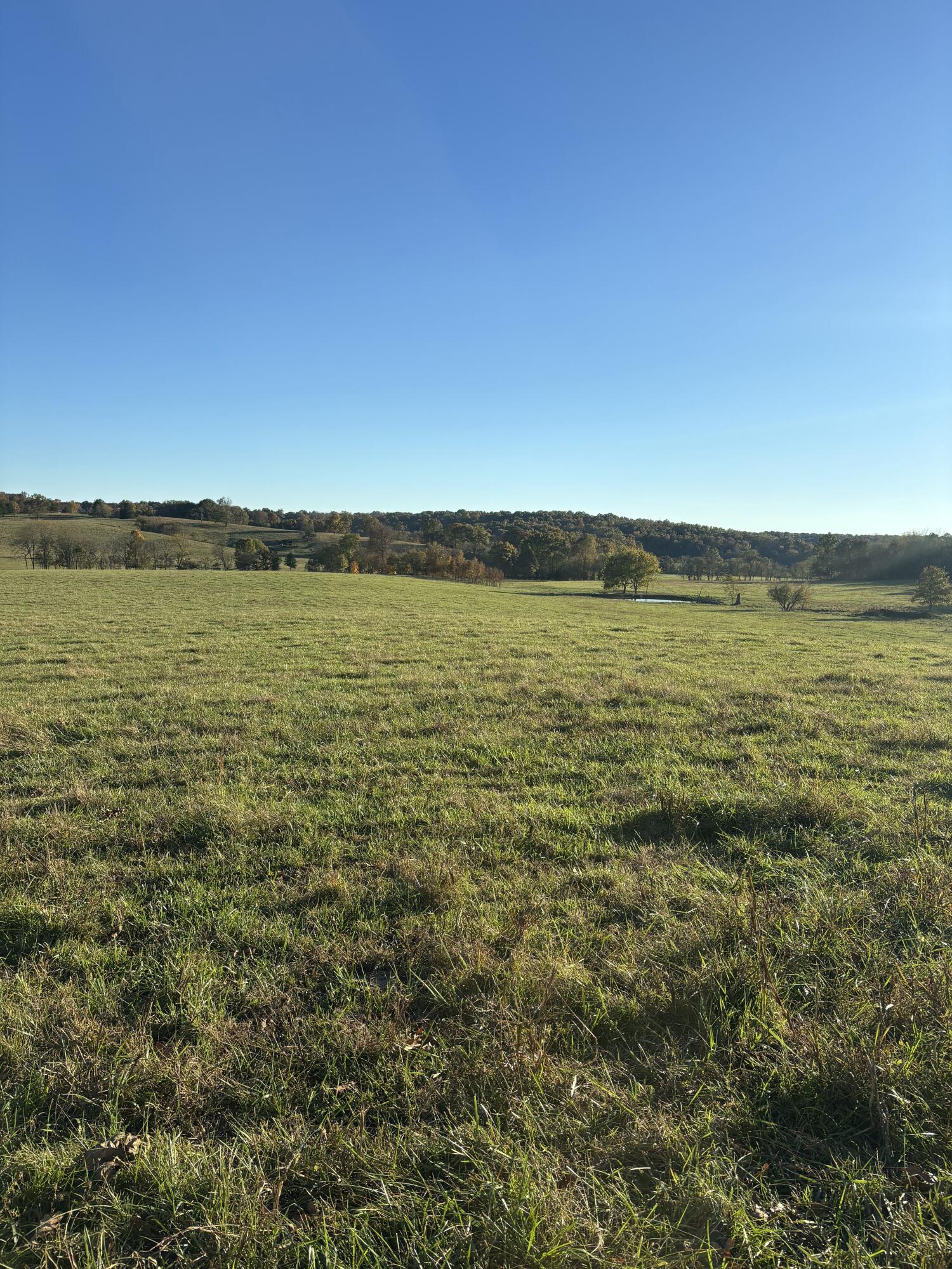 Photo 38 - Farm for sale – Hc 73  County Road 245   Drury, MO