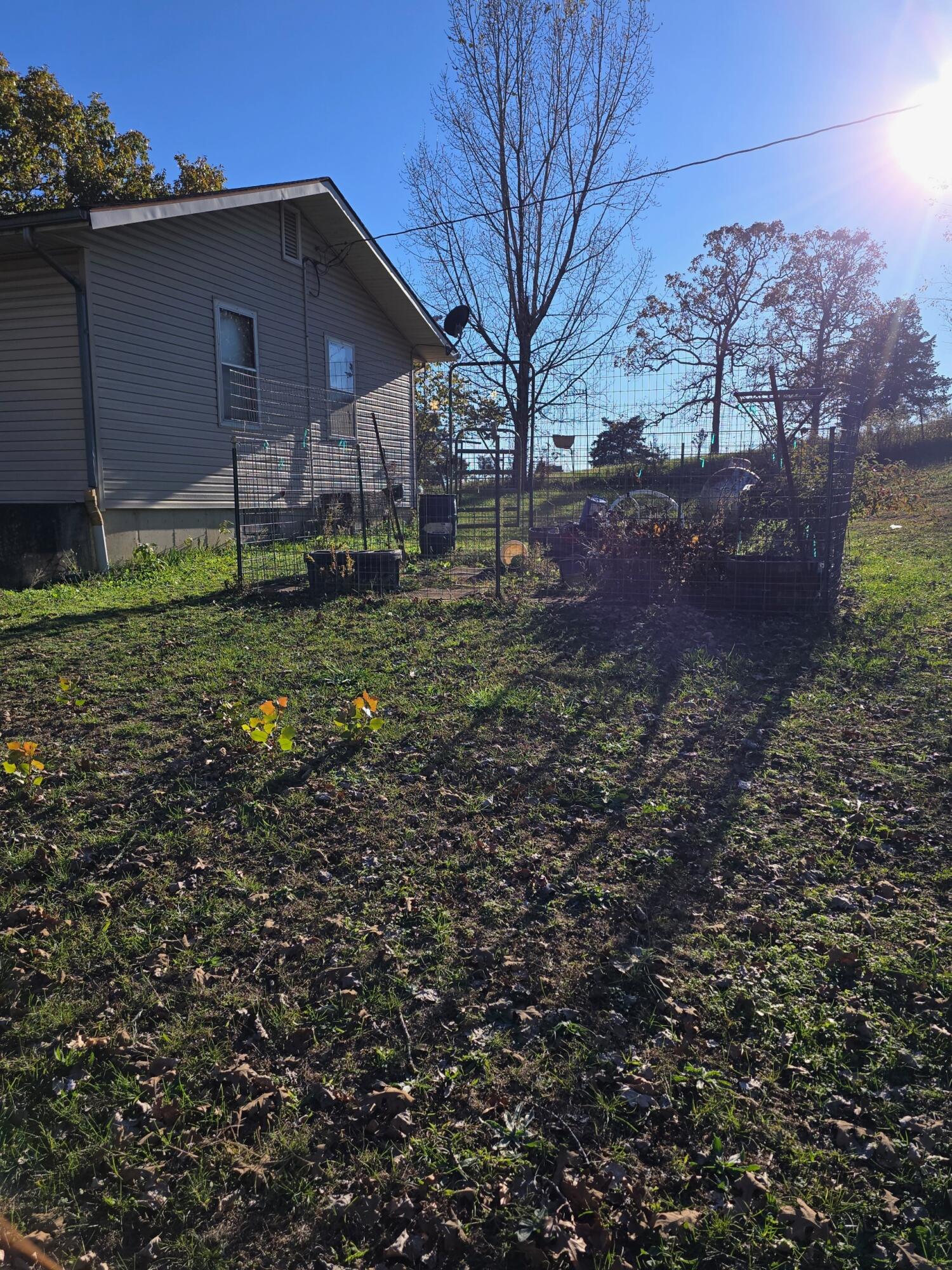 Photo 89 - Farm for sale – Hc 73  County Road 245   Drury, MO