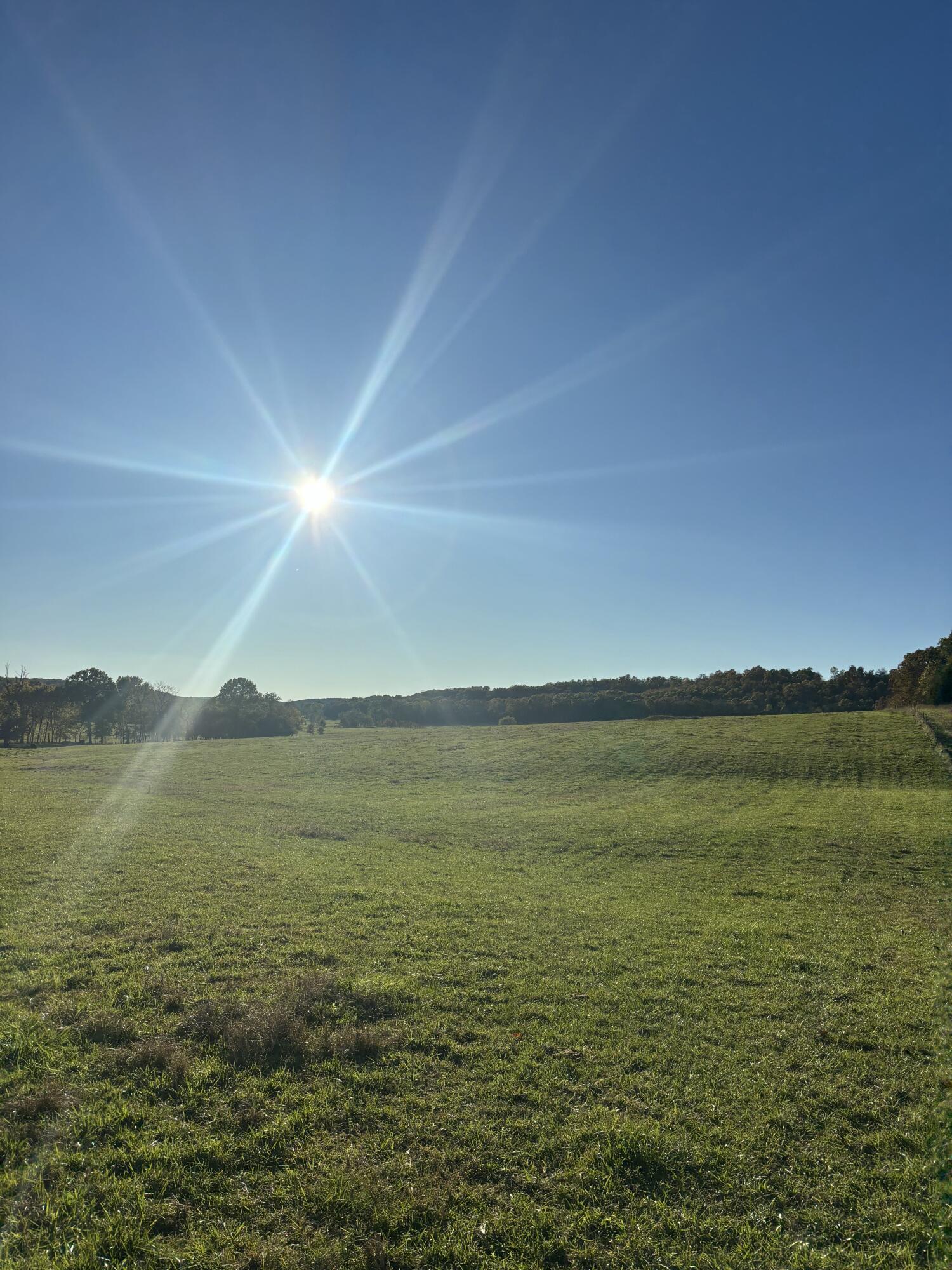 Photo 36 - Farm for sale – Hc 73  County Road 245   Drury, MO