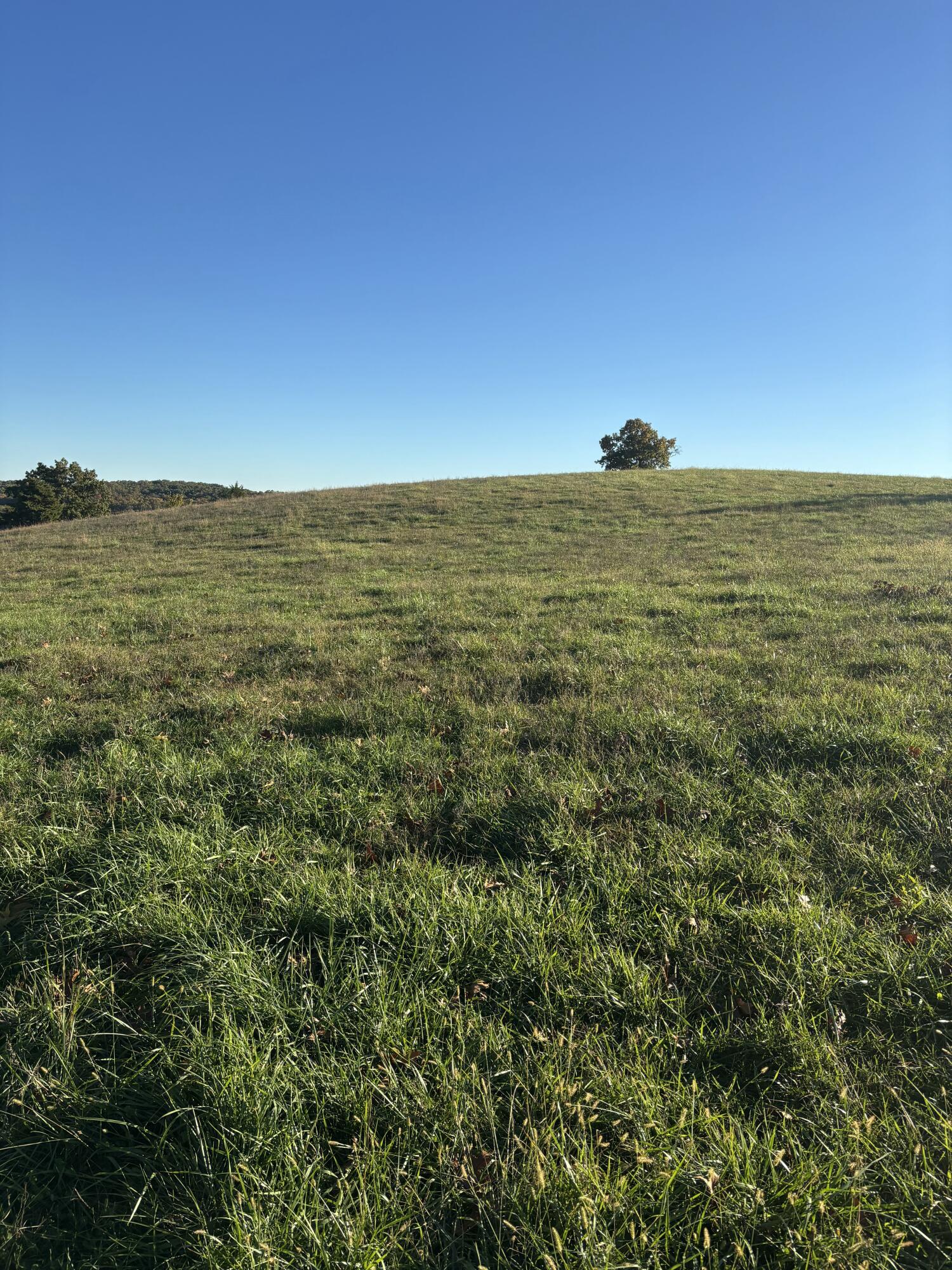 Photo 25 - Farm for sale – Hc 73  County Road 245   Drury, MO