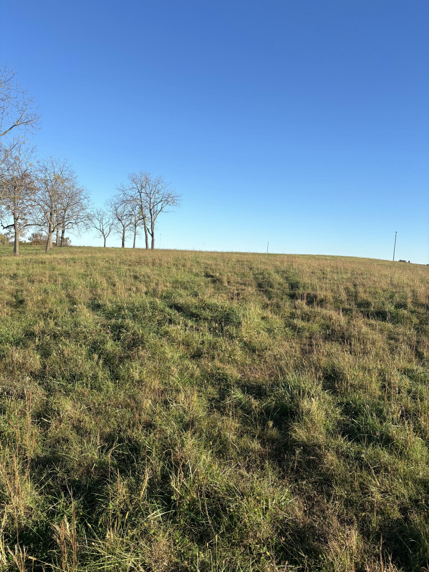 Photo 22 - Farm for sale – Hc 73  County Road 245   Drury, MO