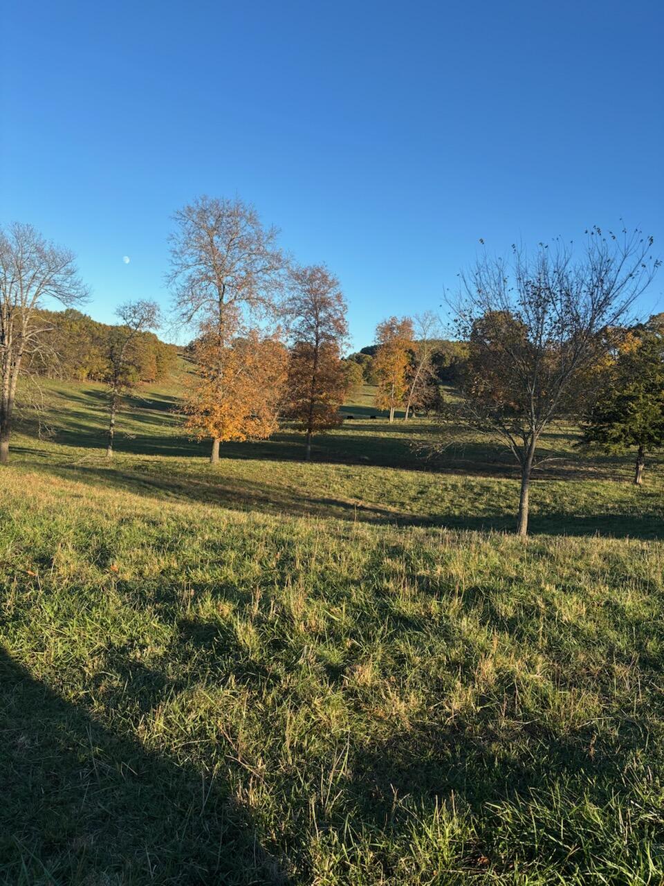 Photo 59 - Farm for sale – Hc 73  County Road 245   Drury, MO
