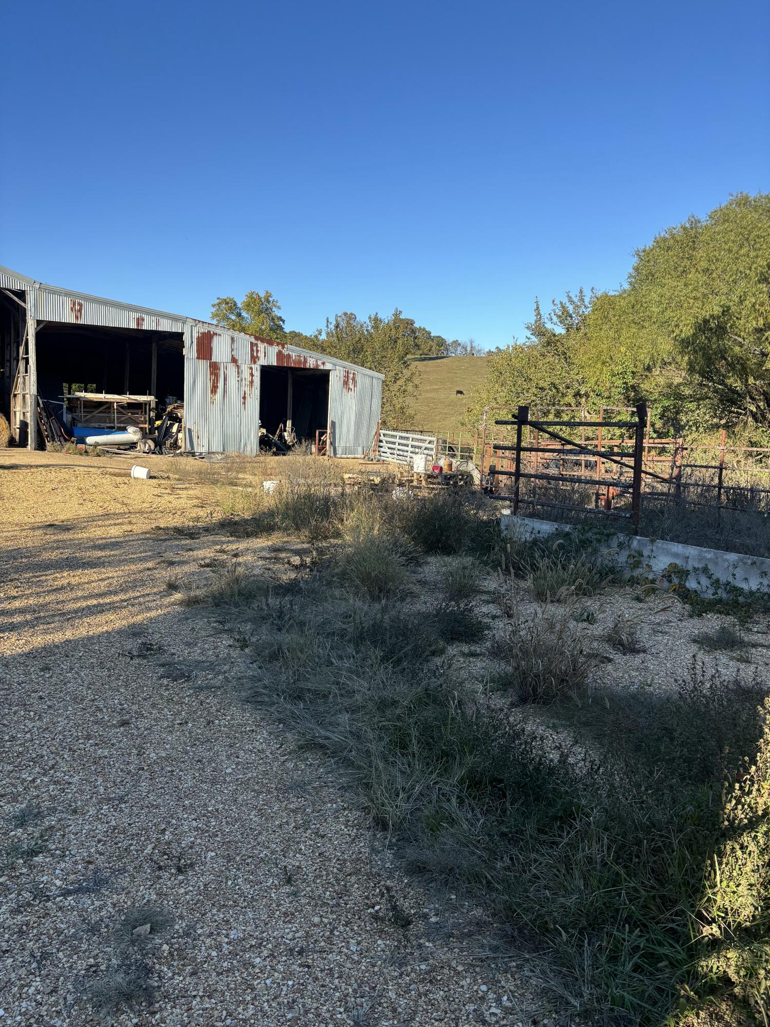 Photo 12 - Farm for sale – Hc 73  County Road 245   Drury, MO
