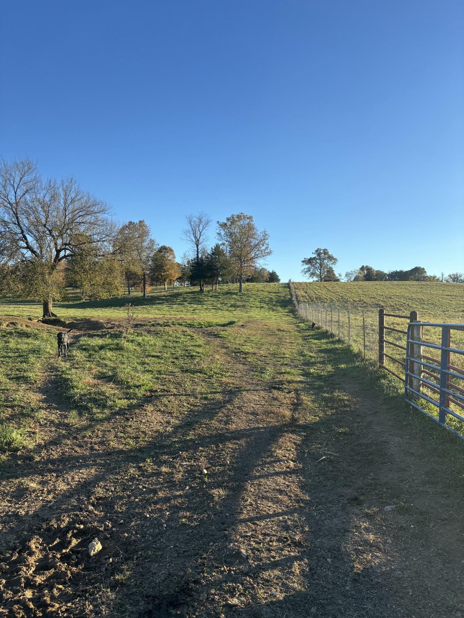 Photo 48 - Farm for sale – Hc 73  County Road 245   Drury, MO