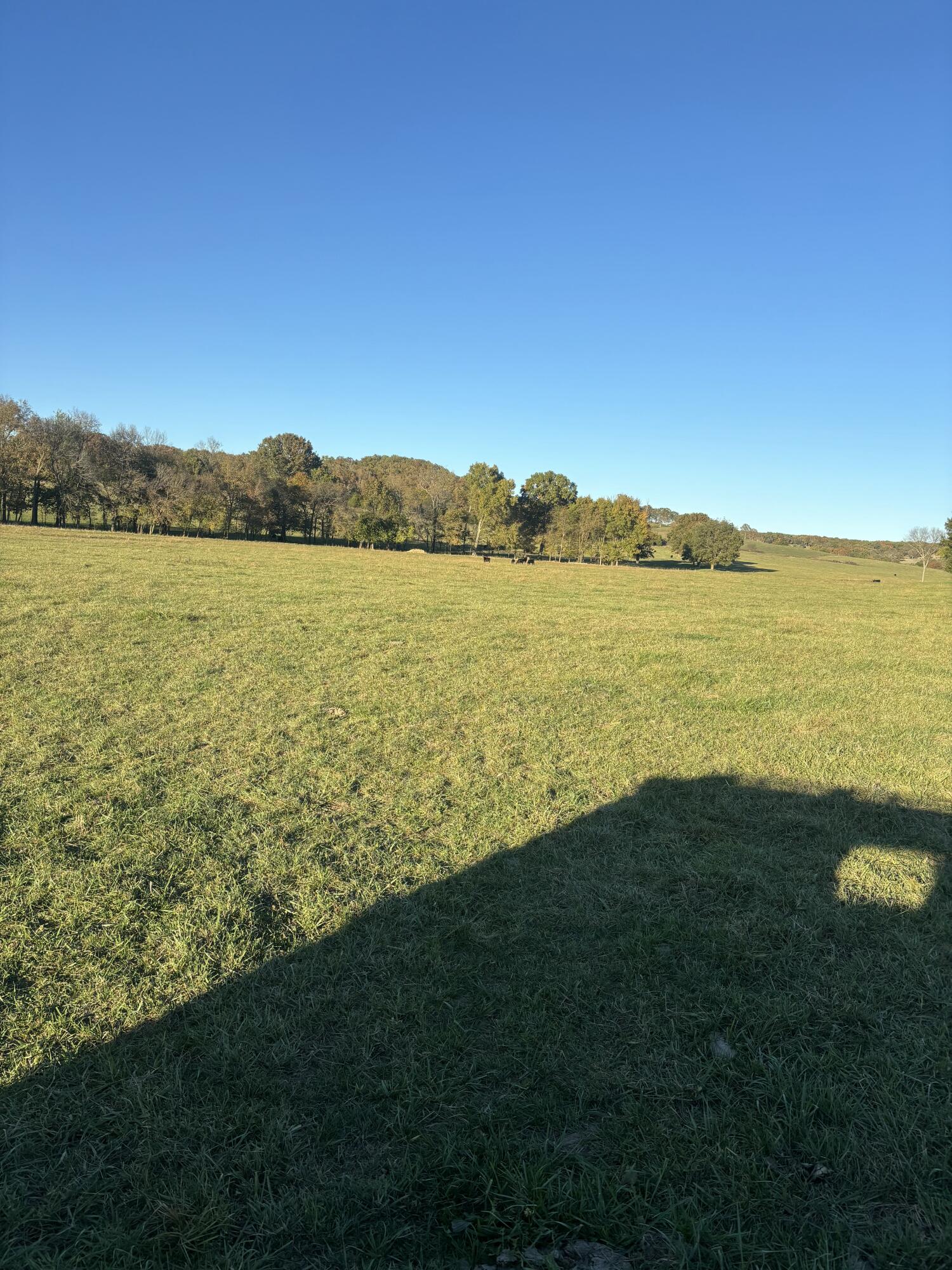 Photo 51 - Farm for sale – Hc 73  County Road 245   Drury, MO