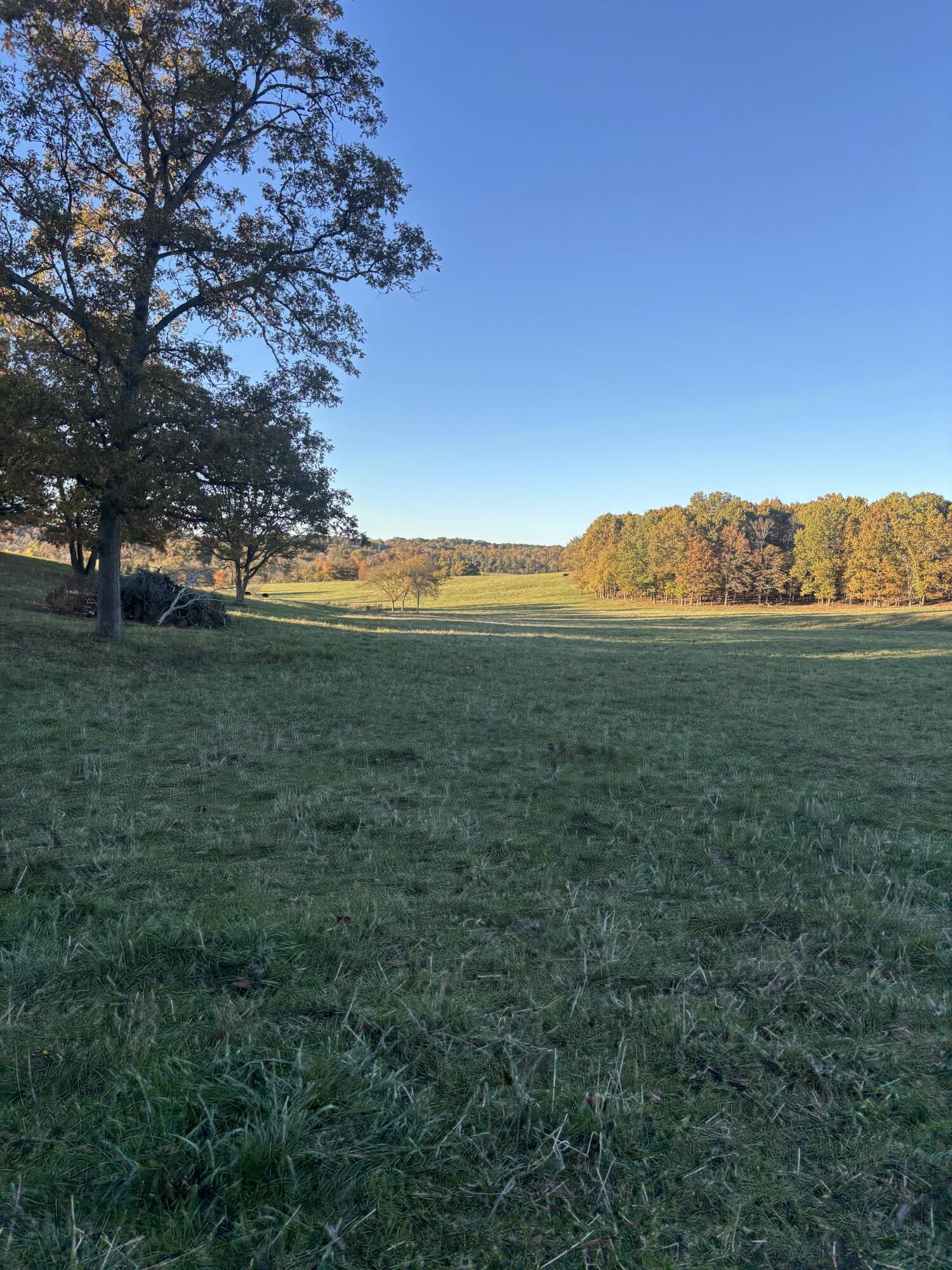 Photo 71 - Farm for sale – Hc 73  County Road 245   Drury, MO
