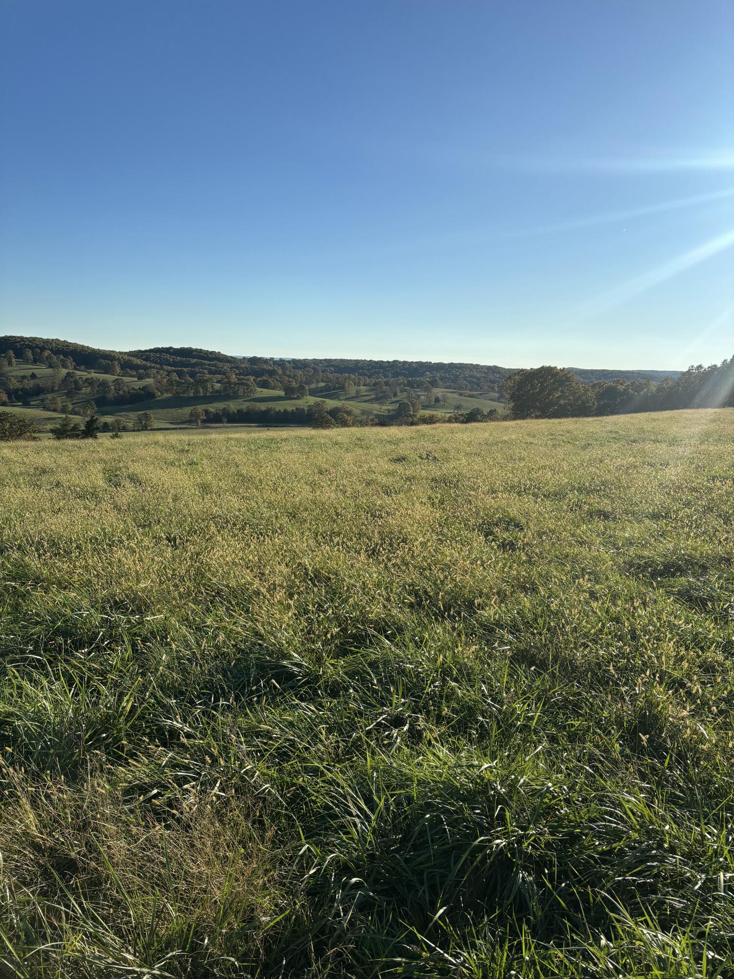 Photo 26 - Farm for sale – Hc 73  County Road 245   Drury, MO