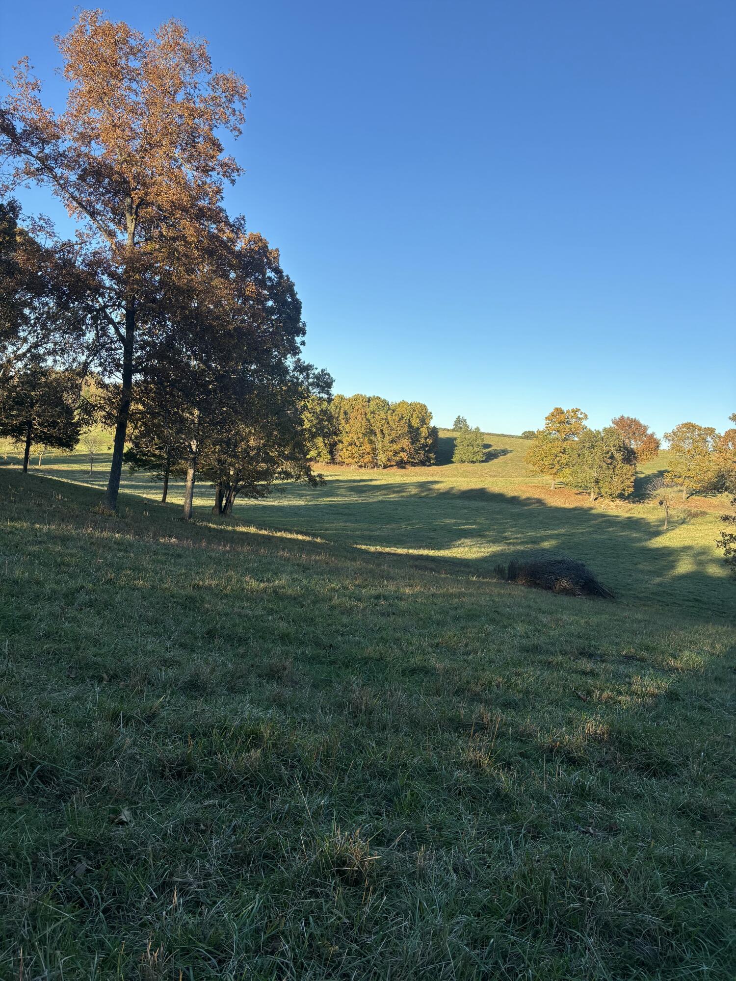 Photo 68 - Farm for sale – Hc 73  County Road 245   Drury, MO