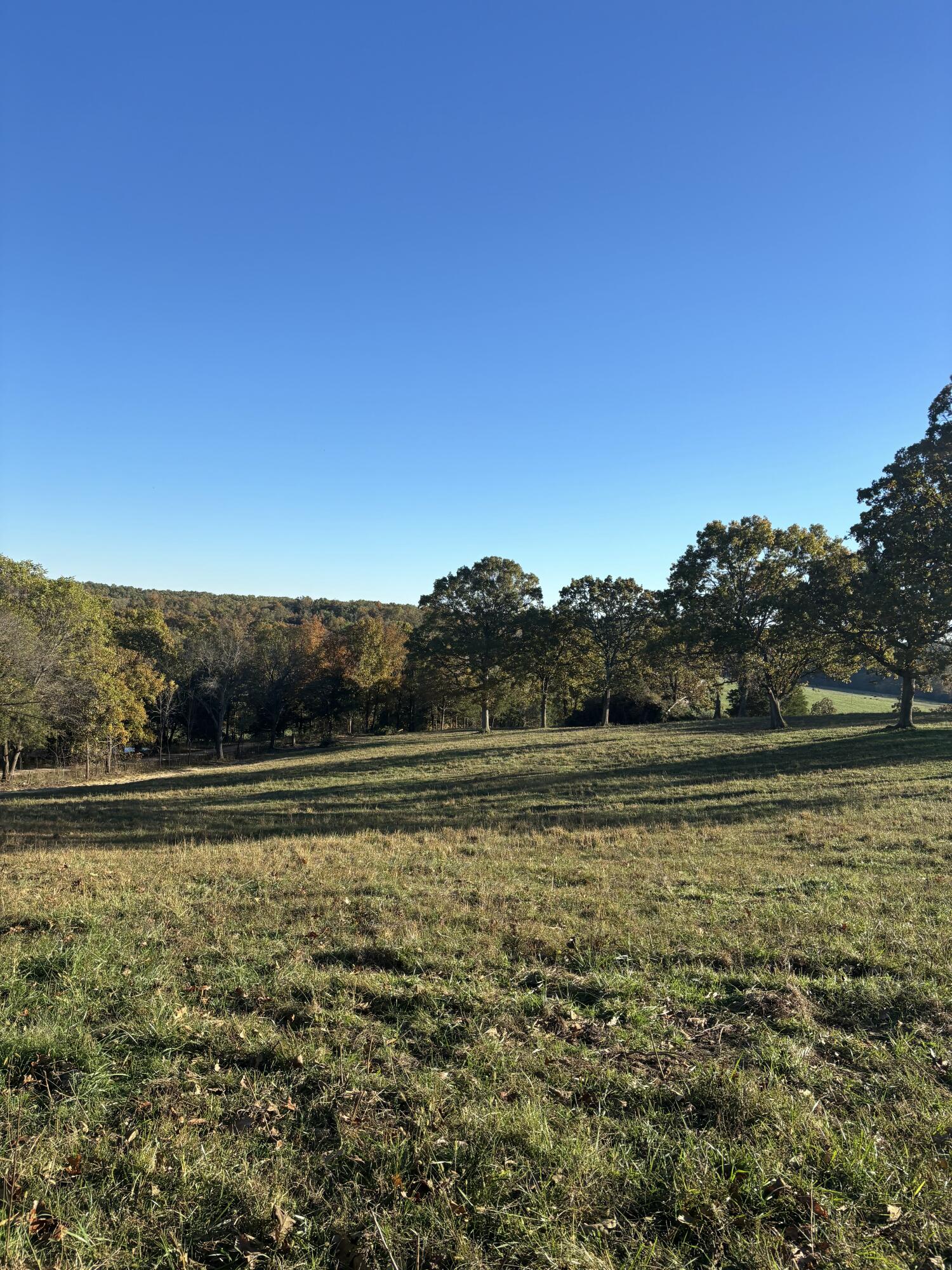 Photo 14 - Farm for sale – Hc 73  County Road 245   Drury, MO