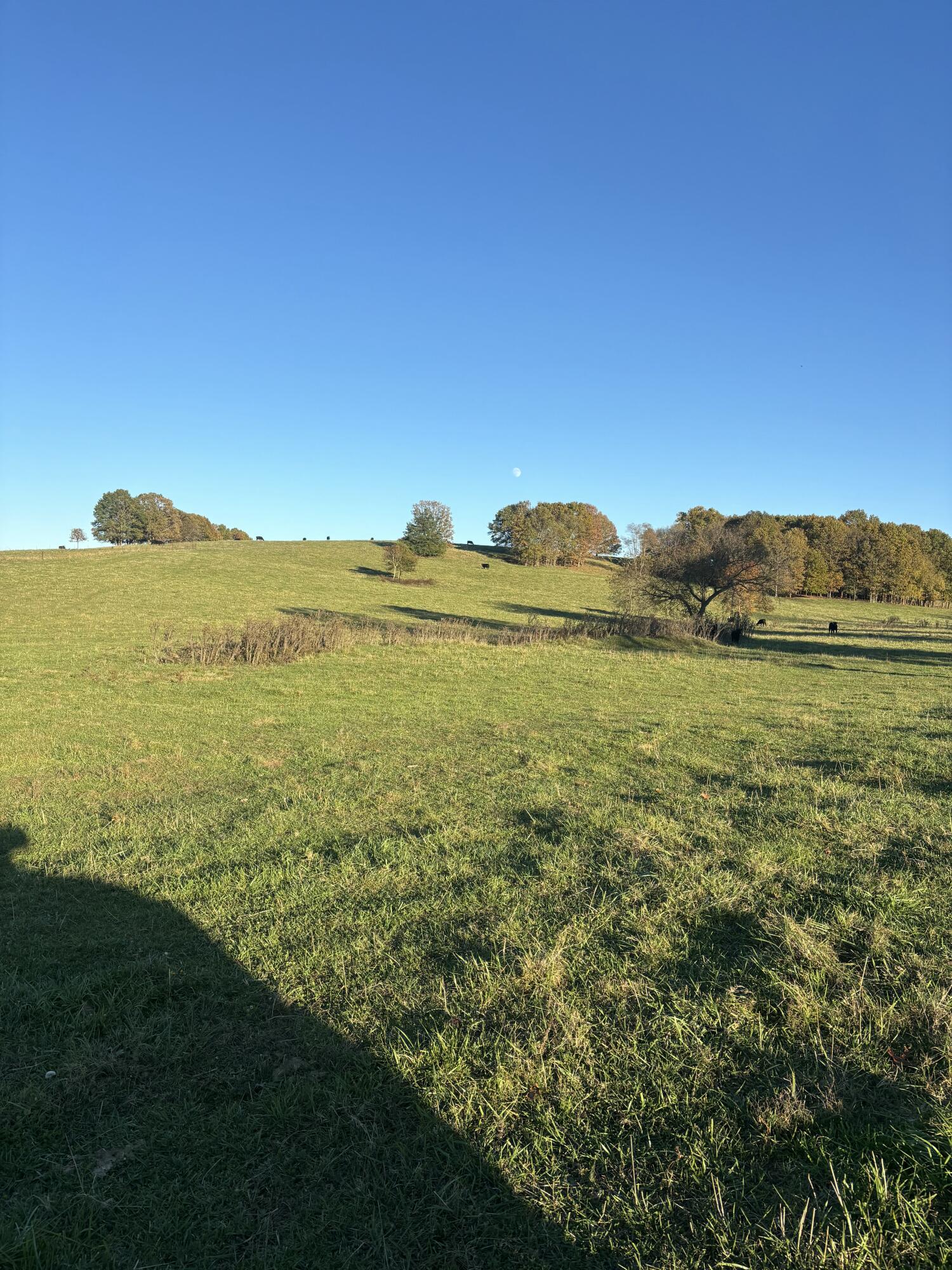 Photo 57 - Farm for sale – Hc 73  County Road 245   Drury, MO