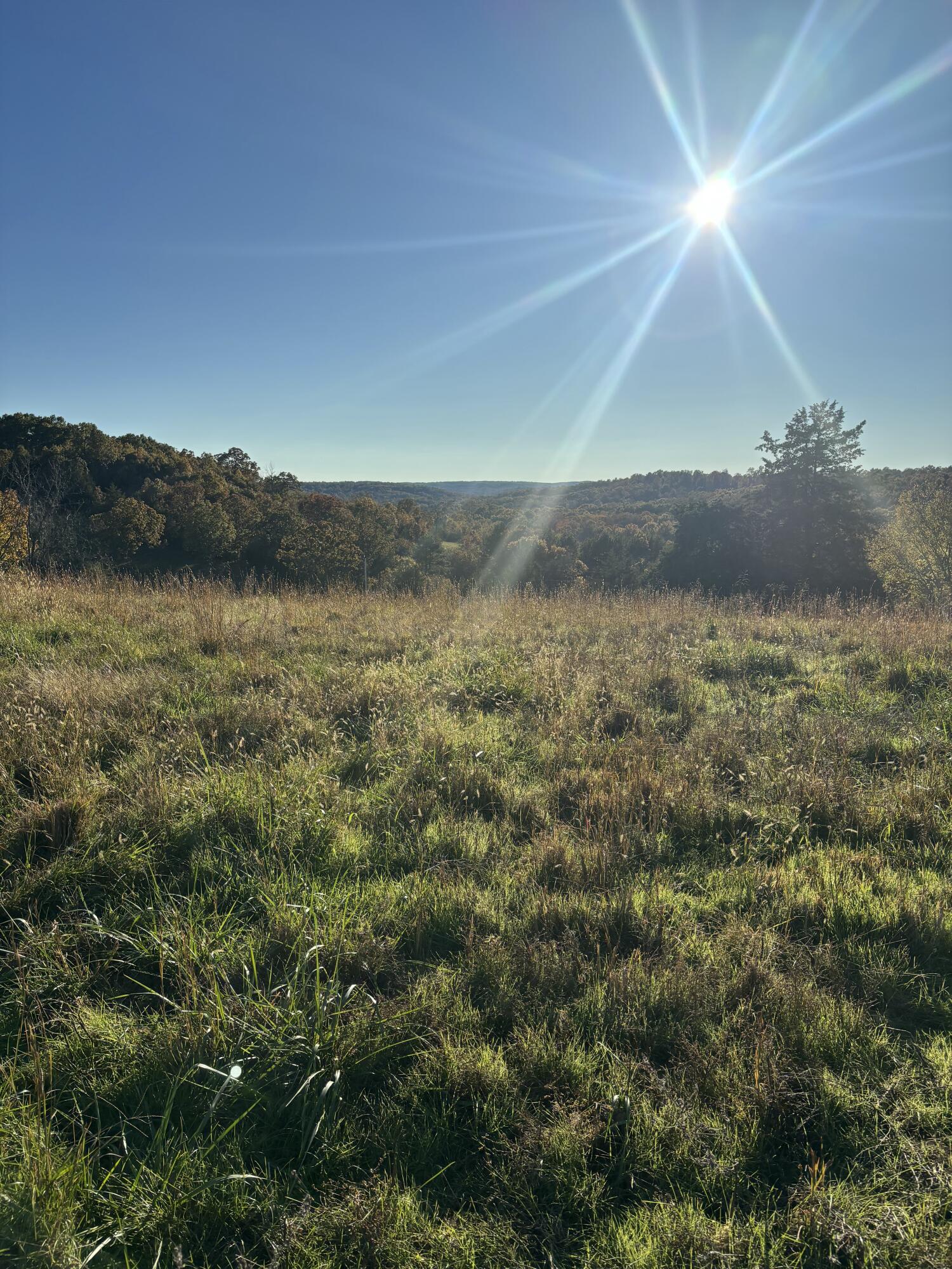 Photo 21 - Farm for sale – Hc 73  County Road 245   Drury, MO