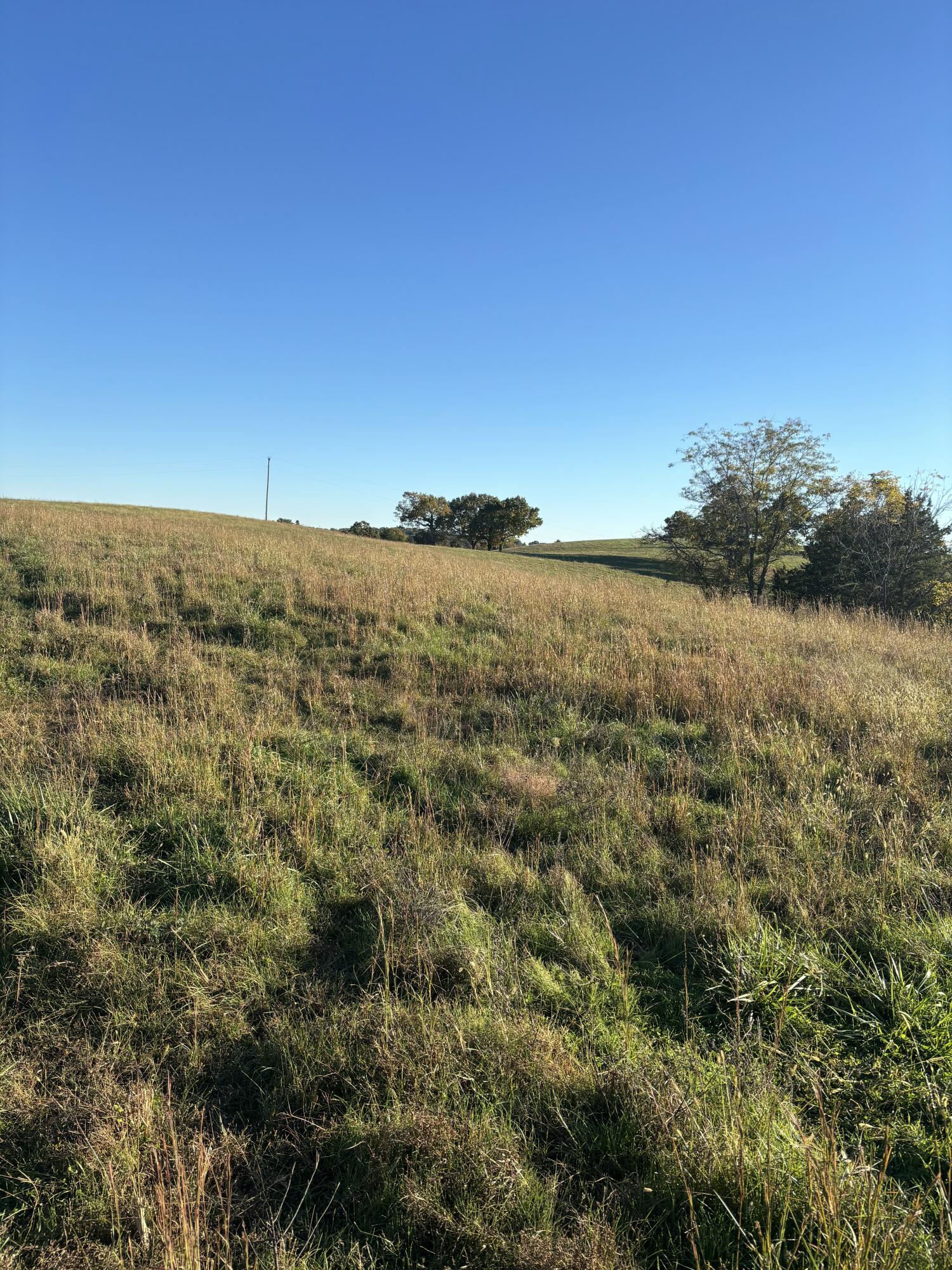 Photo 19 - Farm for sale – Hc 73  County Road 245   Drury, MO