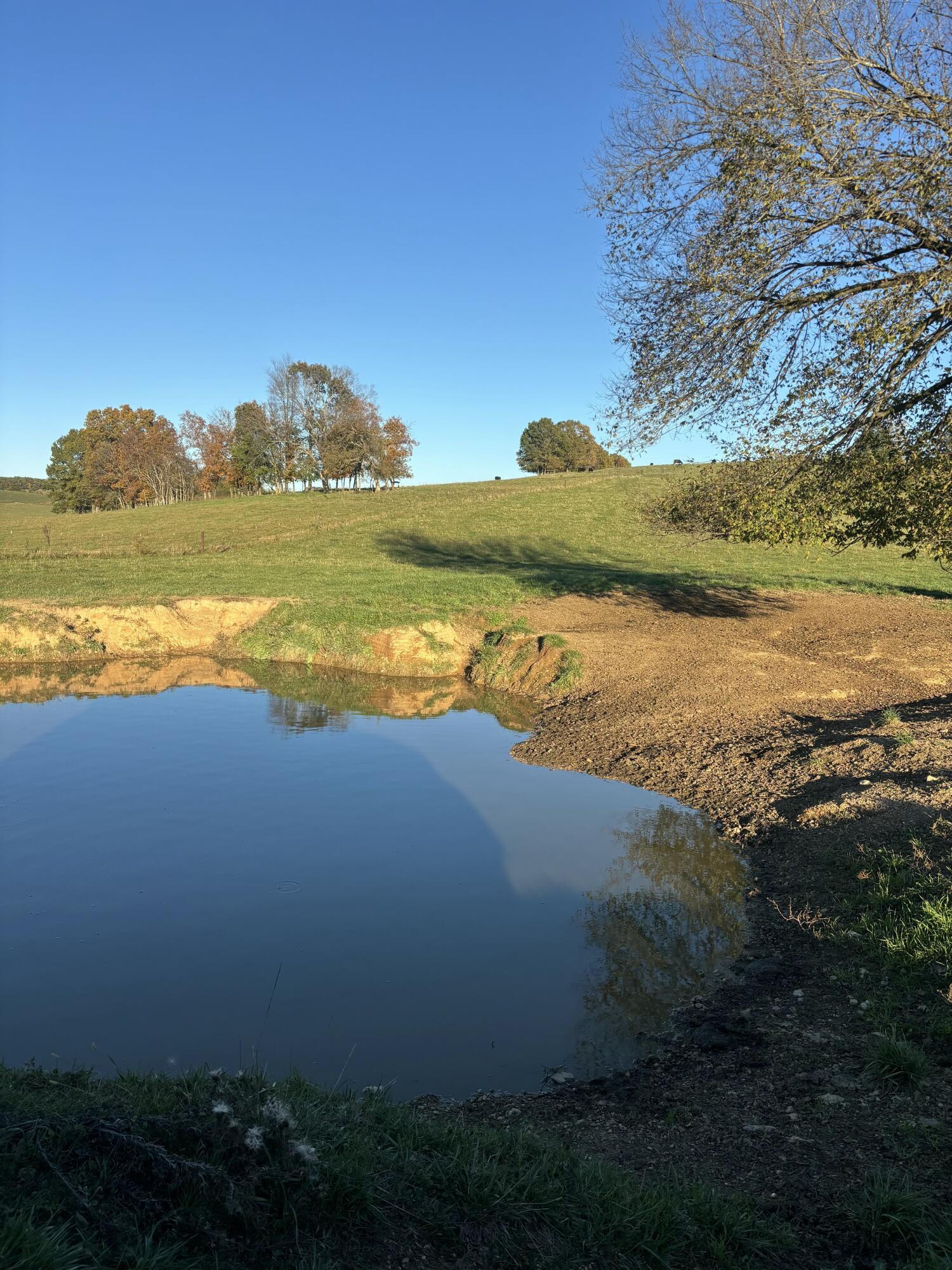 Photo 52 - Farm for sale – Hc 73  County Road 245   Drury, MO