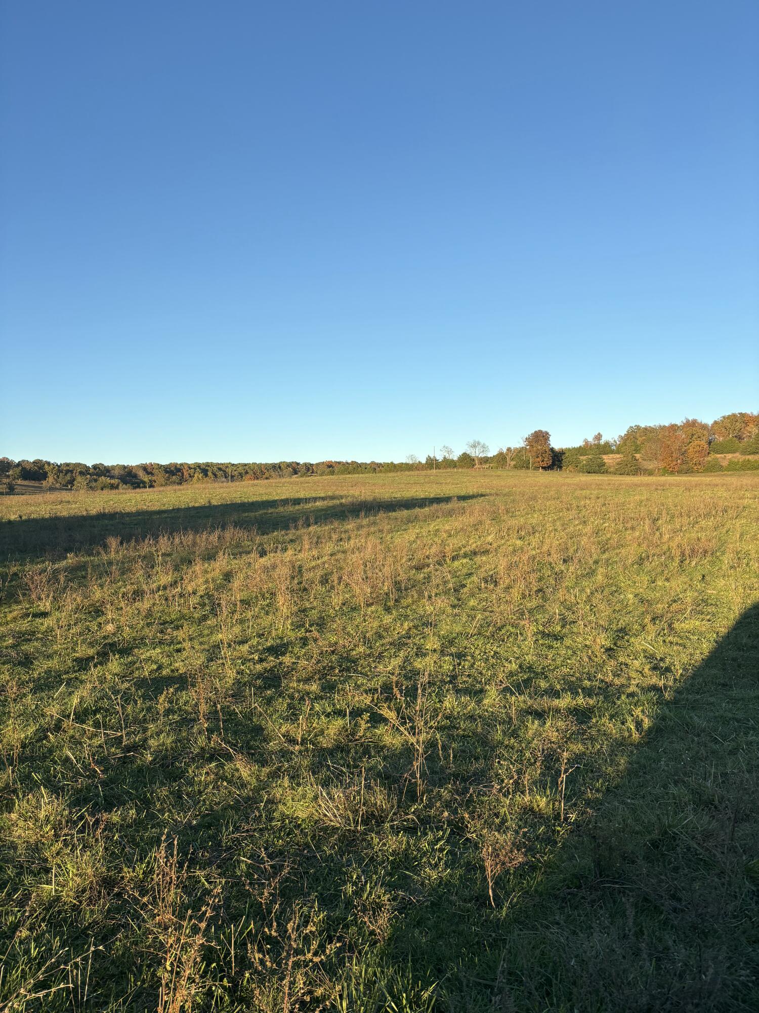 Photo 80 - Farm for sale – Hc 73  County Road 245   Drury, MO