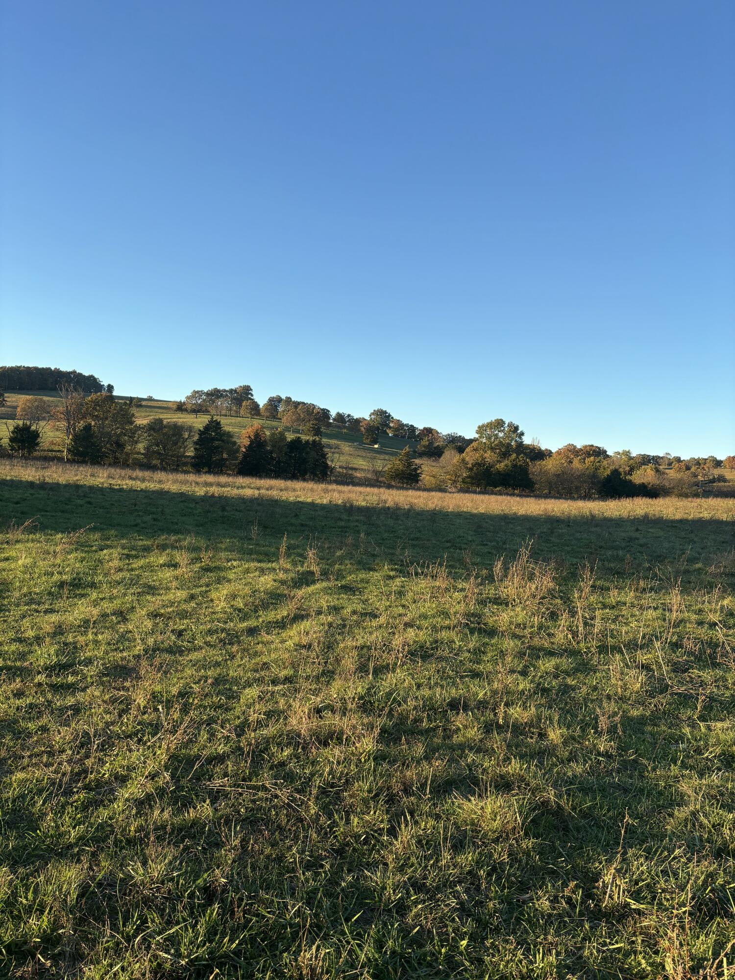 Photo 79 - Farm for sale – Hc 73  County Road 245   Drury, MO