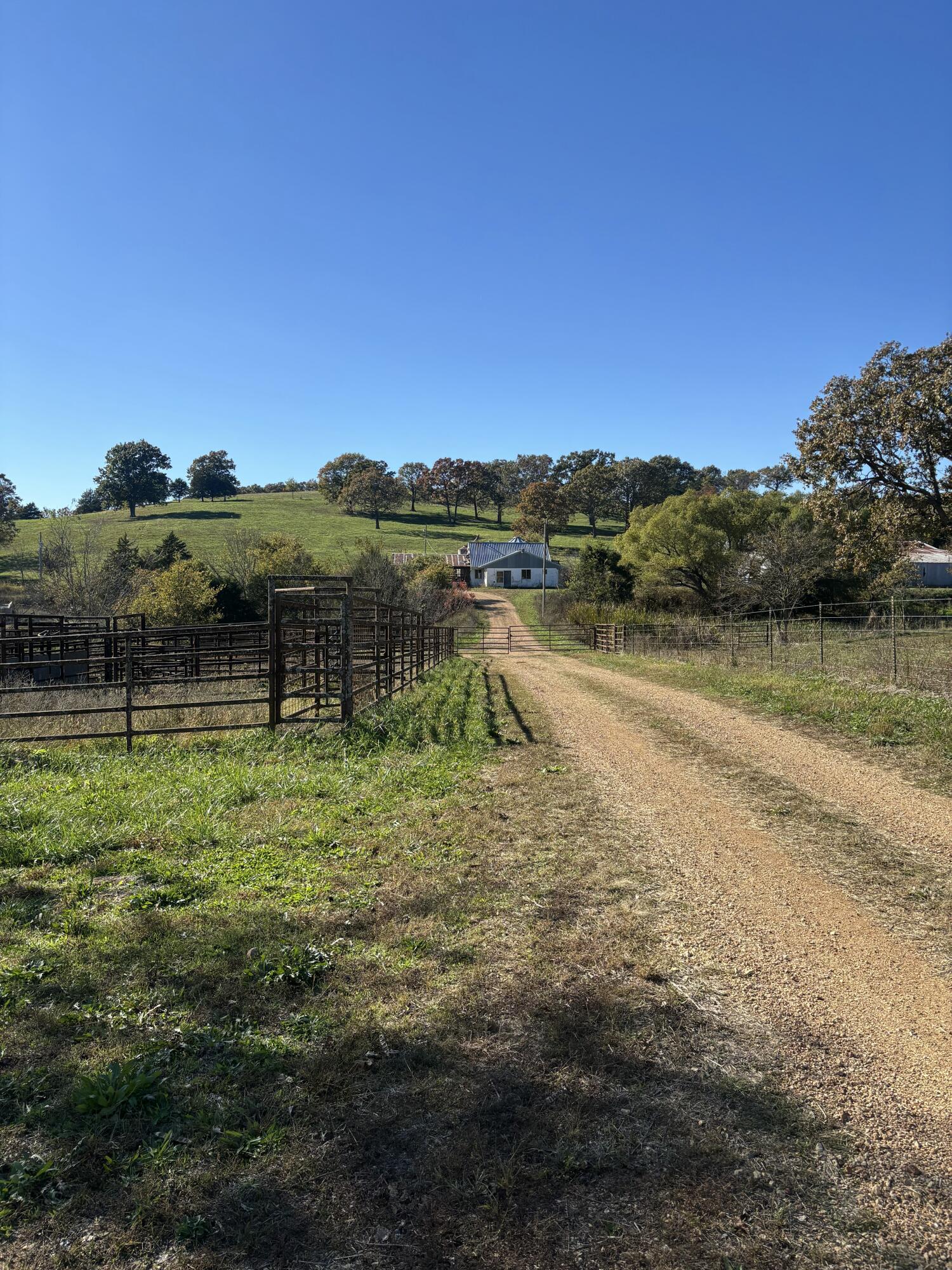 Photo 5 - Farm for sale – Hc 73  County Road 245   Drury, MO
