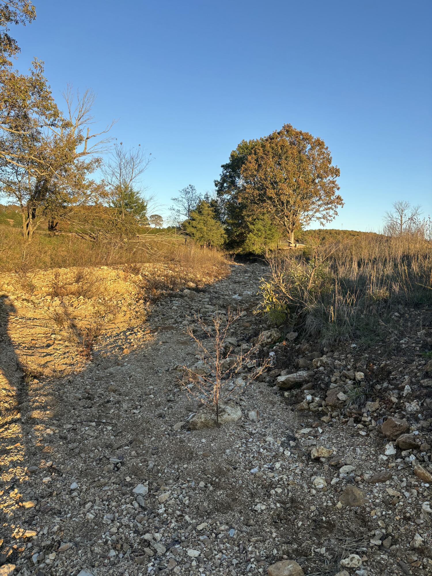 Photo 78 - Farm for sale – Hc 73  County Road 245   Drury, MO