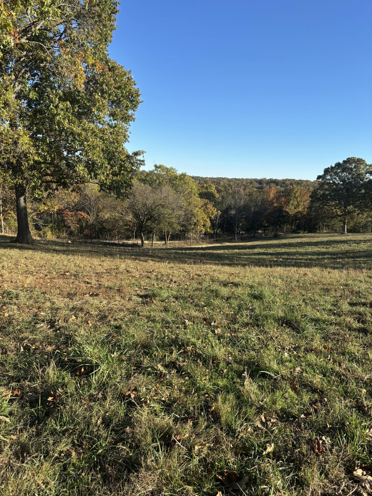 Photo 15 - Farm for sale – Hc 73  County Road 245   Drury, MO