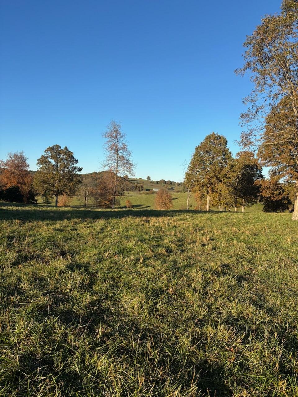 Photo 66 - Farm for sale – Hc 73  County Road 245   Drury, MO