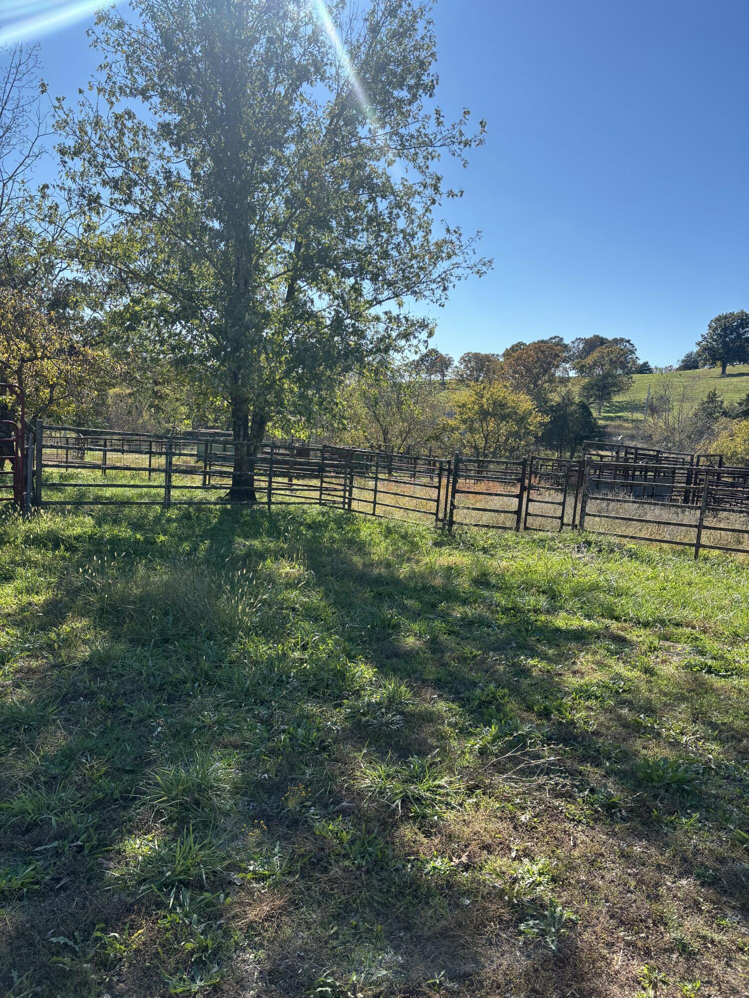Photo 4 - Farm for sale – Hc 73  County Road 245   Drury, MO