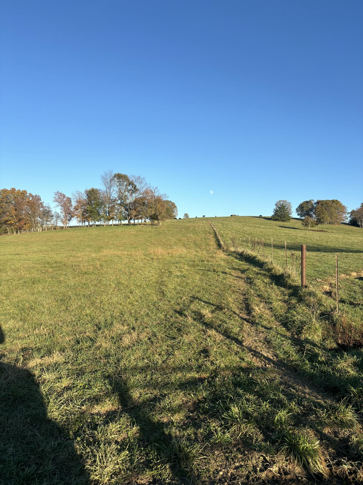 Photo 50 - Farm for sale – Hc 73  County Road 245   Drury, MO