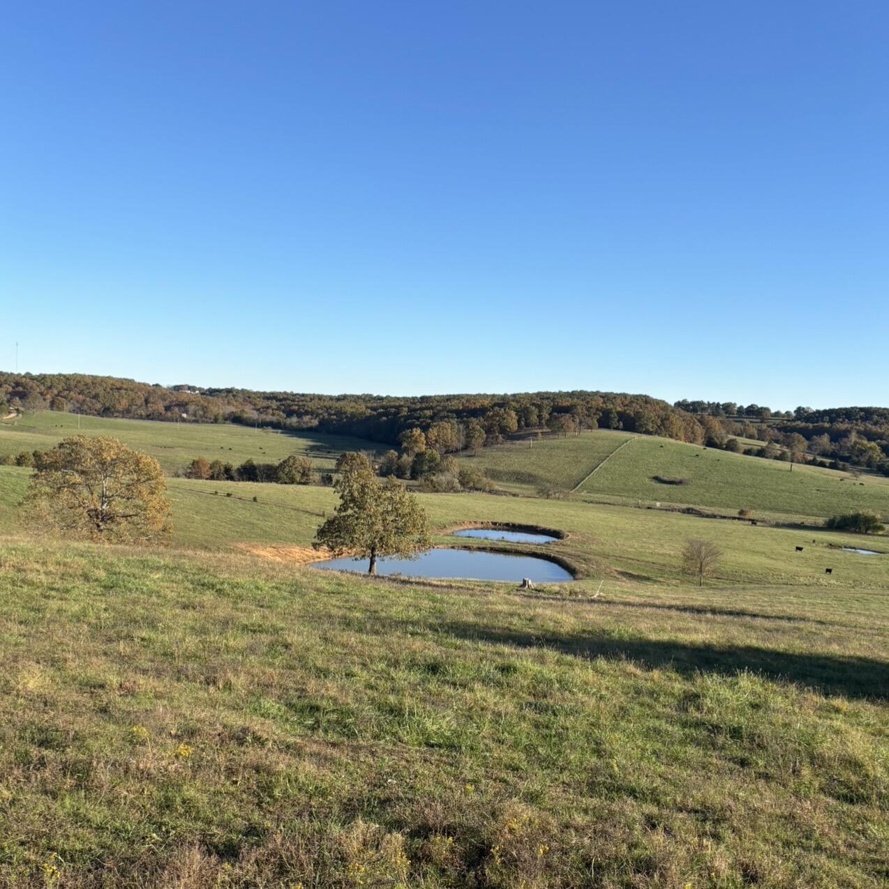 Farm for sale – Hc 73  County Road 245   Drury, MO