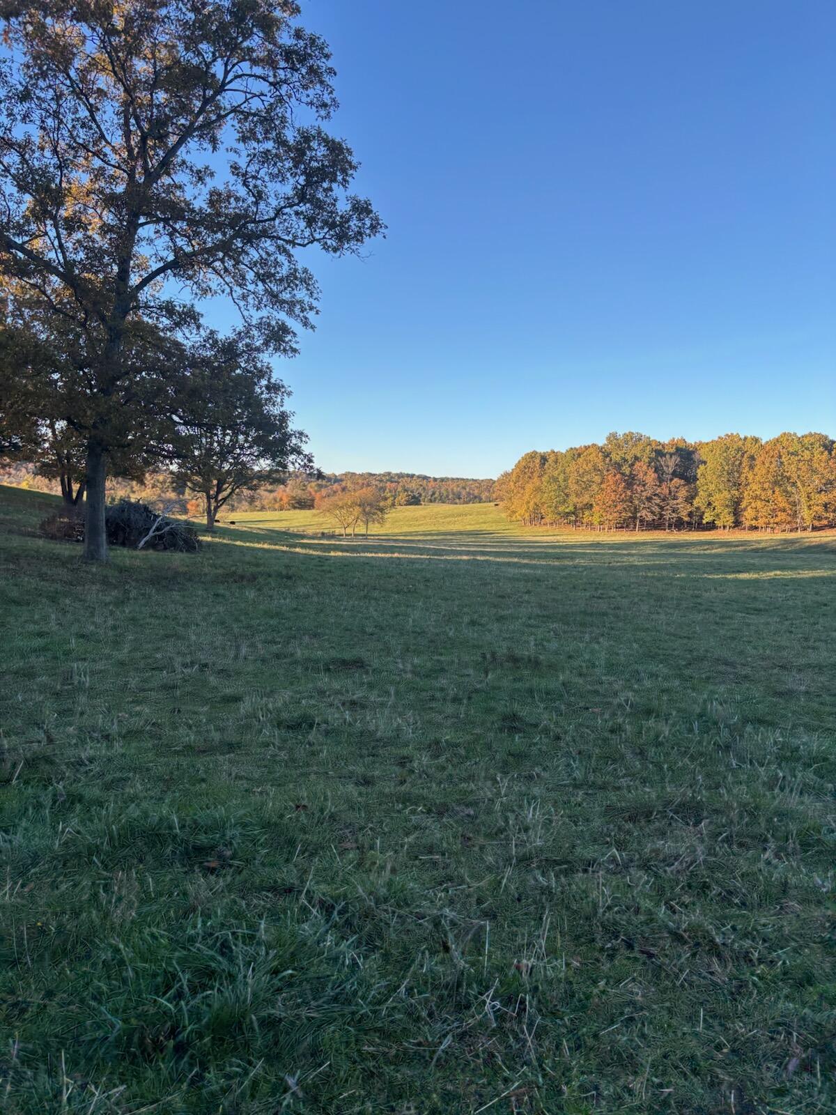 Photo 72 - Farm for sale – Hc 73  County Road 245   Drury, MO