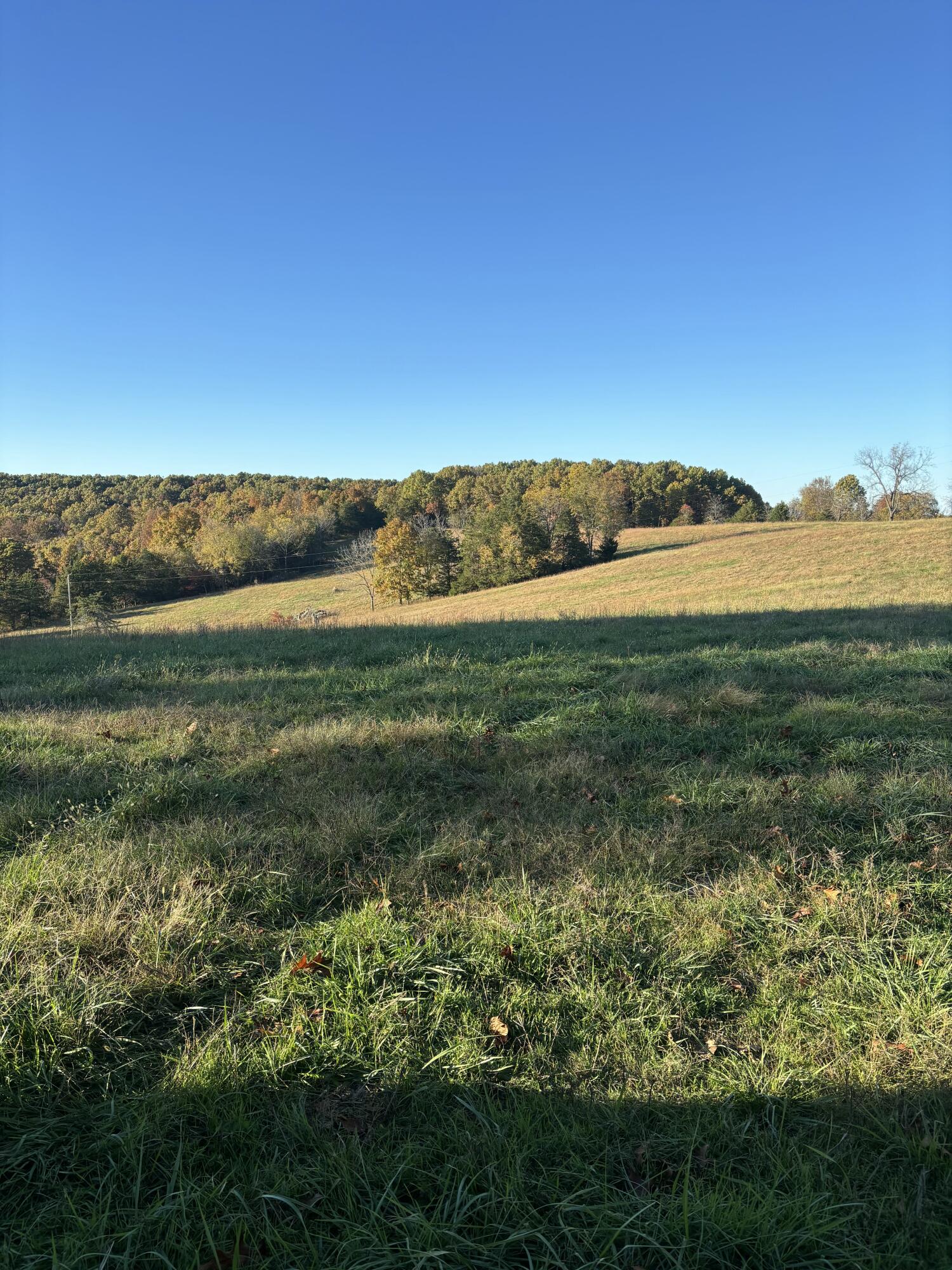 Photo 29 - Farm for sale – Hc 73  County Road 245   Drury, MO