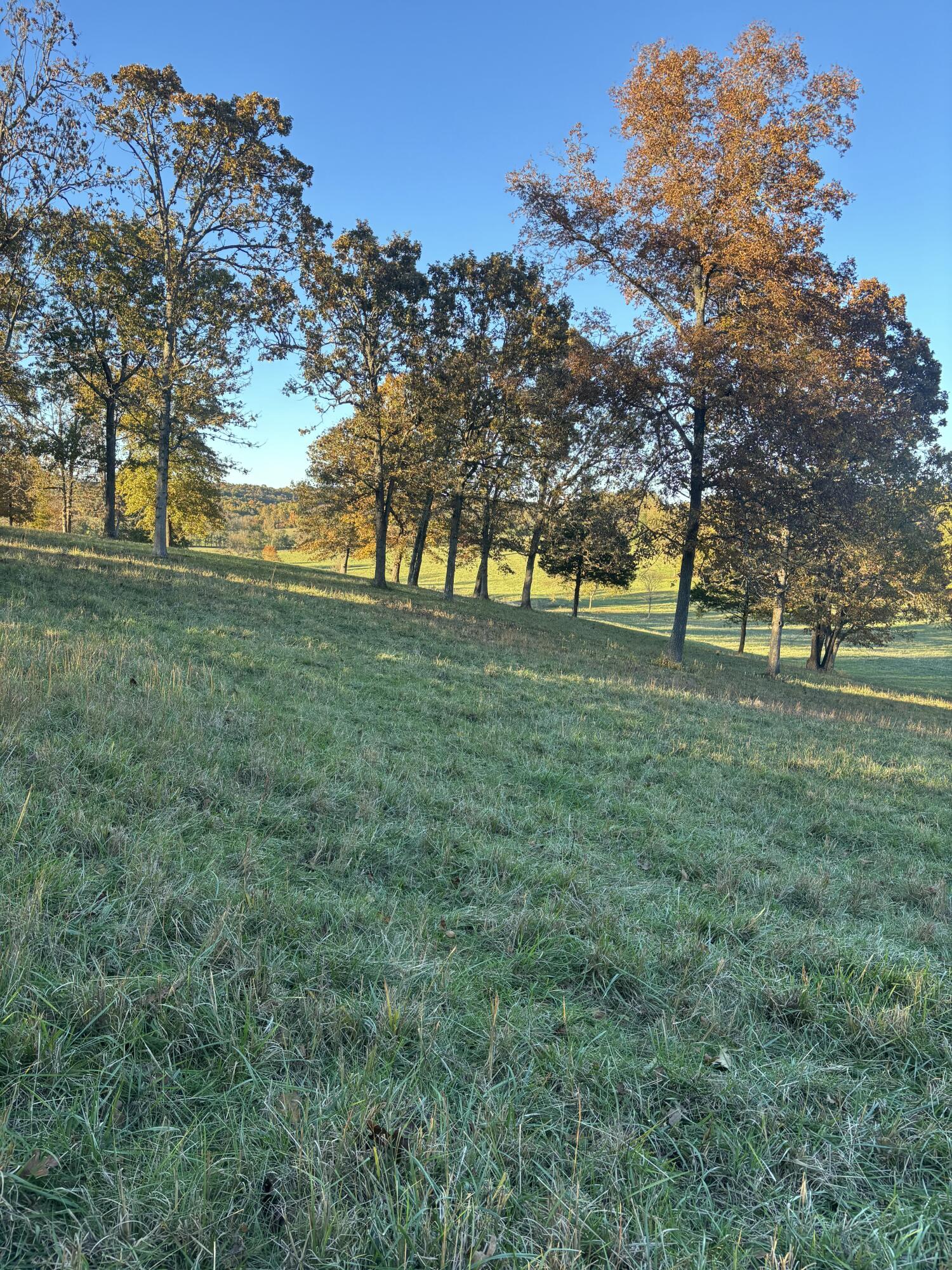 Photo 69 - Farm for sale – Hc 73  County Road 245   Drury, MO